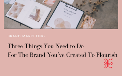 Three Things You Need to Do for the Brand You’ve Created to Flourish